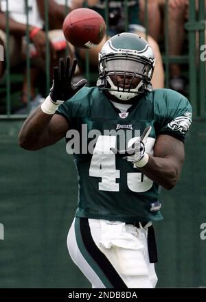 Leonard Weaver of the Philadelphia Eagles runs with a catch against