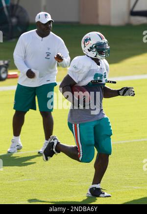 Dolphins haven't ruled out bringing back Ronnie Brown or Ricky Williams -  NBC Sports