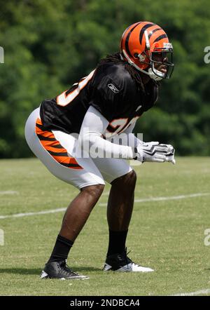 Cincinnati Bengals cornerback David Jones Sunday, Aug. 15, 2010, in  Cincinnati. (AP Photo/Tony Tribble Stock Photo - Alamy