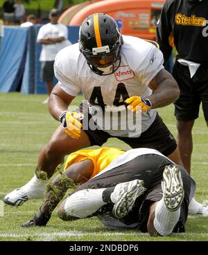 Pittsburgh Steelers running back Frank Summers at their NFL football  training camp in Latrobe, Pa., Tuesday, Aug. 4, 2009. (AP Photo/Keith  Srakocic Stock Photo - Alamy