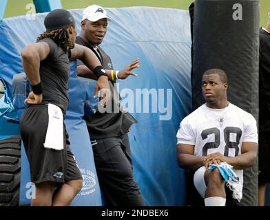 Carolina Panthers running back Stephen Davis (48) talks with offensive  coordinator Dan Henning, left, during practice in Charlotte, N.C.,  Thursday, Jan. 22, 2004. Signing with the Panthers was the best career  choice