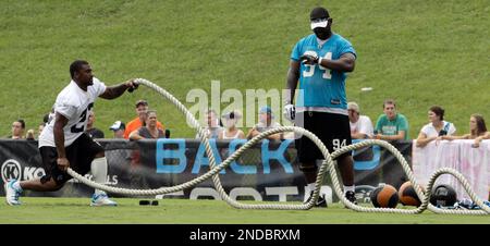 Carolina Panthers Head Coach, John Fox, is shown during an NFL football game  in Charlotte, N.C., Sunday, Dec. 6, 2009. (AP Photo/Mike McCarn Stock Photo  - Alamy