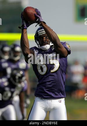 November 8 2009: WR Derrick Mason (85) of the Baltimore Ravens