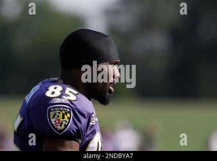 November 8 2009: WR Derrick Mason (85) of the Baltimore Ravens