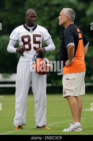 Cincinnati Bengals defensive coordinator Mike Zimmer in action during  practice Thursday, Aug. 5, 2010, at the NFL football team's training camp  in Georgetown, Ky. (AP Photo/Al Behrman Stock Photo - Alamy