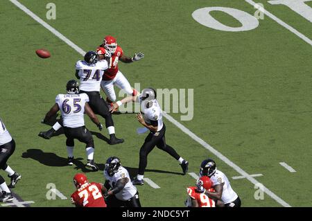 Buffalo Bills defensive tackle Marcell Dareus, center, passes Baltimore  Ravens tackle Michael Oher (74) to sack Ravens quarterback Joe Flacco (5)  during the second quarter at Ralph Wilson Stadium in Orchard Park