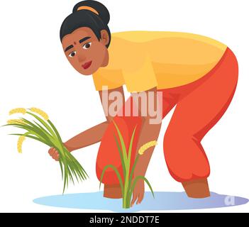 Rice harvest. Cartoon asian woman agricultural worker isolated on white background Stock Vector