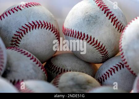 Chicago White Sox players stretch during an MLB spring training baseball  practice, Saturday, Feb. 18, 2023, in Phoenix. (AP Photo/Matt York Stock  Photo - Alamy