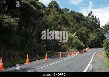 Following cyclone Gabrielle a land slip has occurred blocking one half of a road.Orange safety cones are in place around the fallen trees and mud.N Stock Photo
