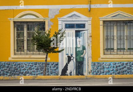 Punta Arenas, Chile - 27 January 2023: Wall mural of vet's office on bulding wall by seafront Stock Photo