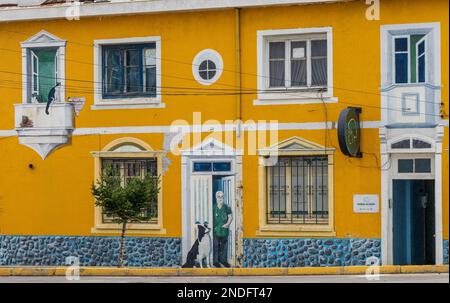 Punta Arenas, Chile - 27 January 2023: Wall mural of vet's office on bulding wall by seafront Stock Photo