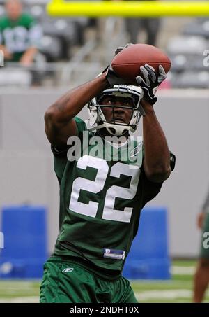 New York Jets' Jordan Whitehead, left and Jermaine Johnson celebrate a  turnover during an NFL football game against the Pittsburgh Steelers at  Acrisure Stadium, Sunday, Oct. 2, 2022 in Pittsburgh, Penn. (Winslow