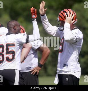 Bengals appear to be early winners in Chad Ochocinco, Carson