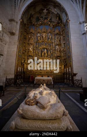 Alabaster tomb of Bishop Alonso Luis Osorio de Acuña with retable of Tree of Jesse, father of King David, in background, Chapel of St Anne, Cathedral Stock Photo