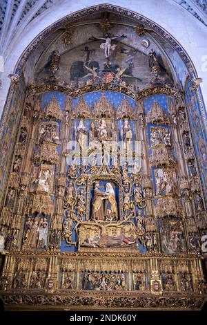 Retable of Tree of Jesse, father of King David, Chapel of St Anne, Cathedral of Saint Mary of Burgos (UNESCO World Heritage Site), Burgos, Castile and Stock Photo