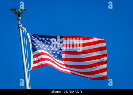 American flag waving on pole with eagle and bright vibrant red white and blue colors against blue sky Stock Photo