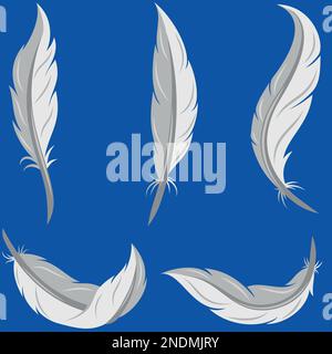 Bird feather vector design, bird feathers for decoration Stock Vector