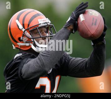 Cincinnati Bengals cornerback Adam Pacman Jones runs backwards during  football practice, Wednesday, May 19, 2010, in Cincinnati. (AP Photo/Al  Behrman Stock Photo - Alamy