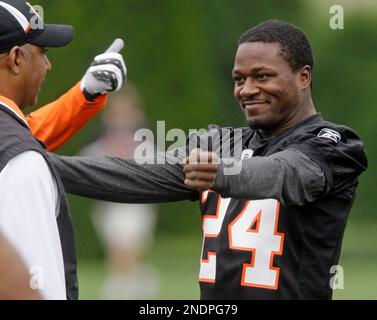 Cincinnati Bengals cornerback Adam Pacman Jones runs backwards during  football practice, Wednesday, May 19, 2010, in Cincinnati. (AP Photo/Al  Behrman Stock Photo - Alamy