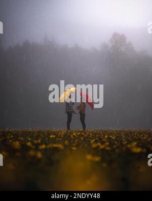 a couple standing in the rain looking at each other holding umbrellas Stock Photo