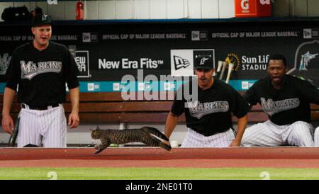 Dominican shortstop Hanley Ramirez of the Florida Marlins kisses