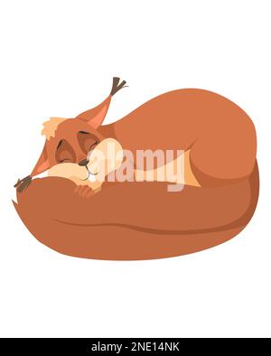 Cute sleeping squirrel cartoon vector on white Stock Vector
