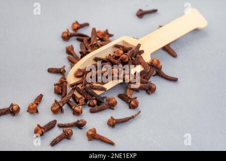 whole cloves in scoop with grey background and copy space Stock Photo