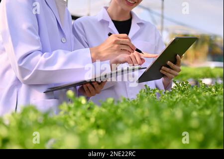 Cropped image of two professional agricultural scientists or biologists in white gowns working in the greenhouse, checking the quality of their vegeta Stock Photo