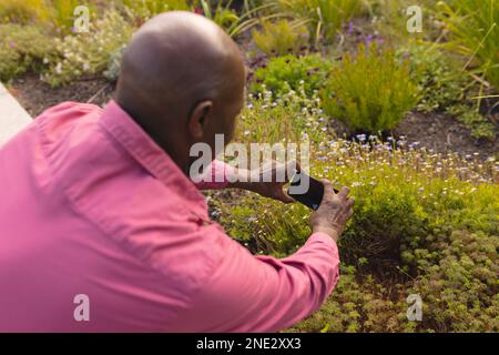 African american senior man taking pictures of bushes in the garden. retirement senior lifestyle and living concept Stock Photo