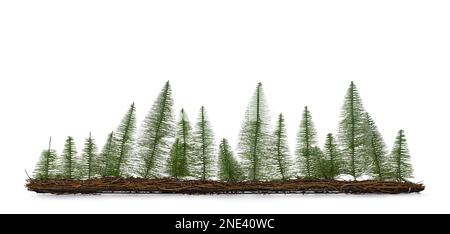Row of green pine or christmas trees on wood. Decorated with little lights. Base from brown twines. isolated on a white background. Stock Photo