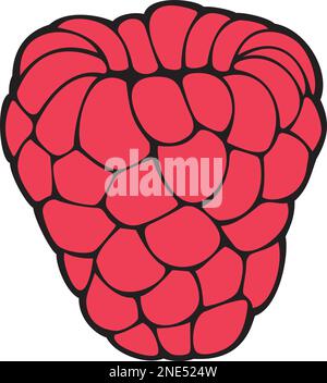 Raspberry fruit color. Vector illustration. Stock Vector