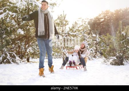 Father pulling sledge with his wife and daughter outdoors on winter day. Christmas vacation Stock Photo