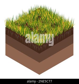 Lawn care - aeration and scarification. Labels by stage-before. Intake of substances-water, oxygen, and nutrients to feed the grass and soil. Vector Stock Vector