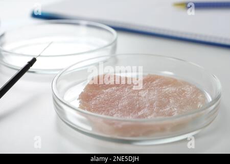 Petri dish with piece of raw cultured meat on white table, closeup Stock Photo