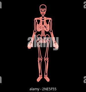 Neon skeleton human red color vector illustration image flat style light Stock Vector