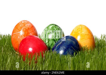 colourful dyed Easter eggs in fresh grass Stock Photo