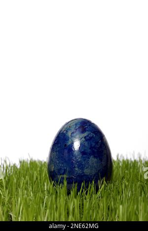 blue dyed Easter egg in fresh grass Stock Photo