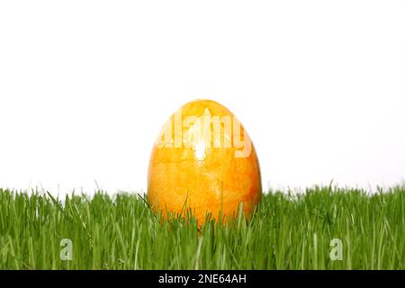 yellow dyed Easter egg in fresh grass Stock Photo