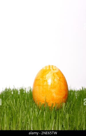 yellow dyed Easter egg in fresh grass Stock Photo