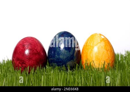 colourful dyed Easter eggs in fresh grass Stock Photo