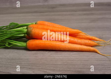 carrot (Daucus carota subsp. sativus, Daucus carota var. sativus), fresh carrots Stock Photo