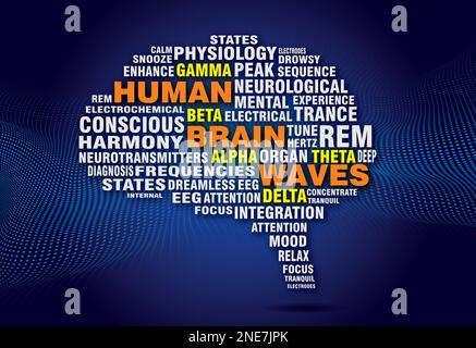 The word cloud of Rhythms of the Brain: Exploring the World of Brain Waves. vector illustration. Stock Vector