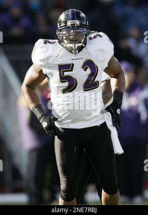 Baltimore Ravens' Ray Lewis reacts after hitting Tampa Bay