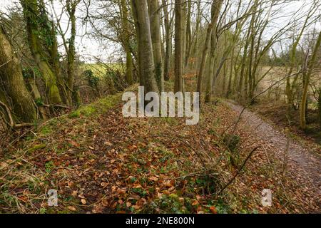 The Wat's Dyke way walking trail (Welsh: Clawdd Wat) part of an ancient earthwork constructed along the English Welsh border in Shropshire Stock Photo