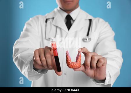 Doctor holding plastic model of thyroid and blood sample on light blue background, closeup Stock Photo