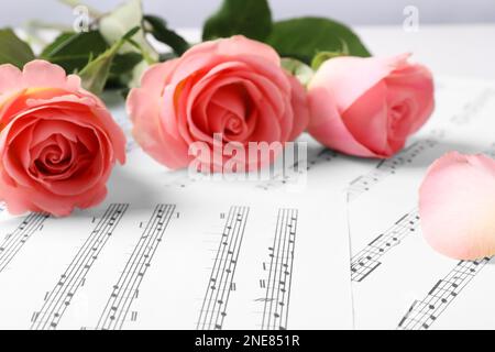 Beautiful roses on sheets with music notes Stock Photo