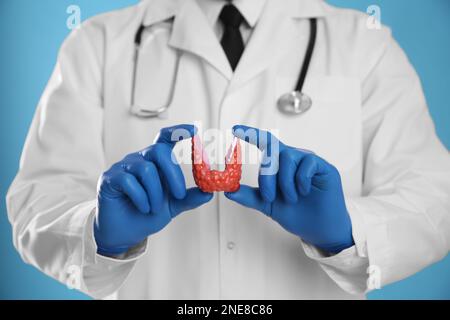 Doctor holding plastic model of thyroid on light blue background, closeup Stock Photo