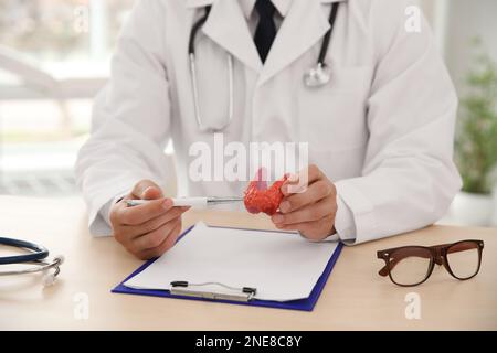 Doctor holding plastic model of thyroid at wooden table in office, closeup Stock Photo