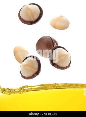 Macadamia nuts falling into natural essential oil on white background Stock Photo