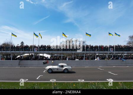 1963 AC Cobra Le Mans Coupe racing past the pits at the 79th Members' Meeting, Goodwood motor racing circuit, Chichester, West Sussex, UK Stock Photo